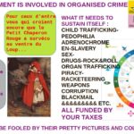 YOUR GOVERNMENT IS INVOLVED IN ORGANISED CRIME